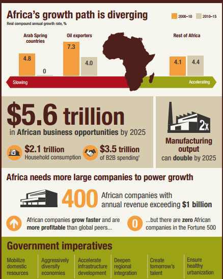 African Companies Grow Faster And Are More Profitable Than Their Global Peers-Mckinsey Report
  