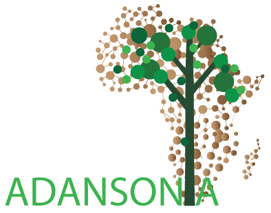 Adansonia Project: Training, Networking, and Funding Entrepreneurs in Africa
  