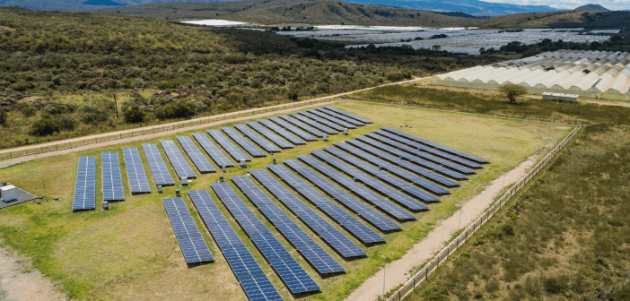 Kenyan energy company Solarise Africa secures $5.9m debt financing for growth
  