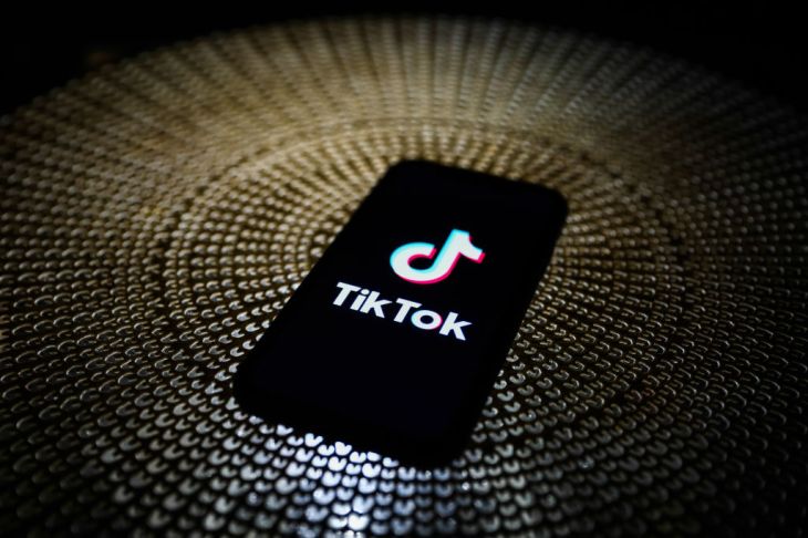 TikTok is expected to be the third largest social network by 2022