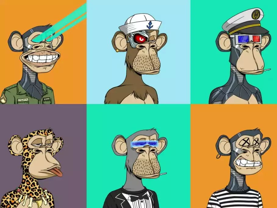 Bored Ape Yacht Club collection. Source: The New Yoker