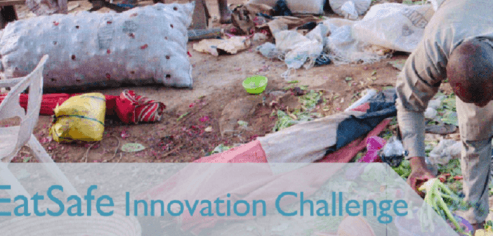 Nigerian, Ethiopian Startups can now Apply for the EatSafe Innovation Challenge
  