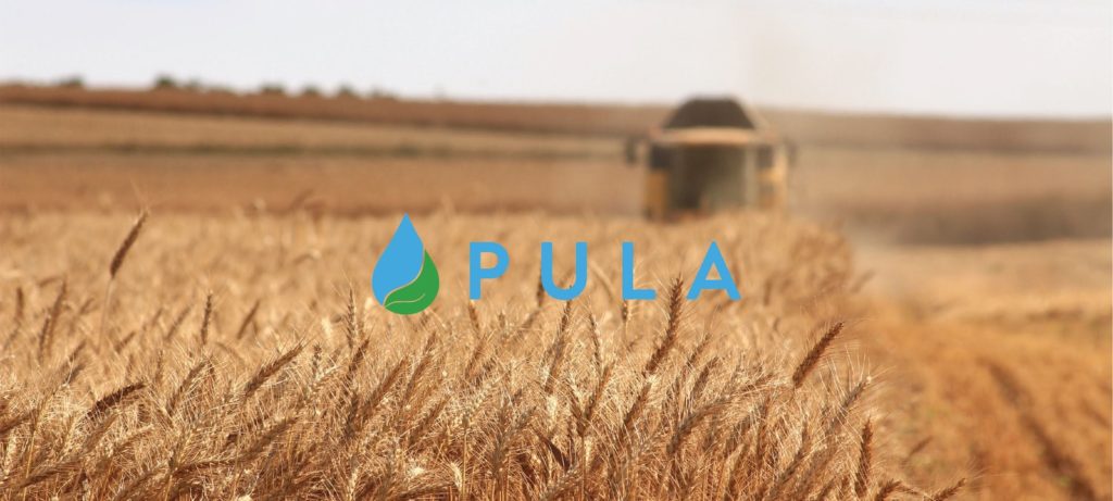 Meet Pula, one of the 6 African startups selected for the WEF Technology Pioneers cohort of 2022- Shortlist