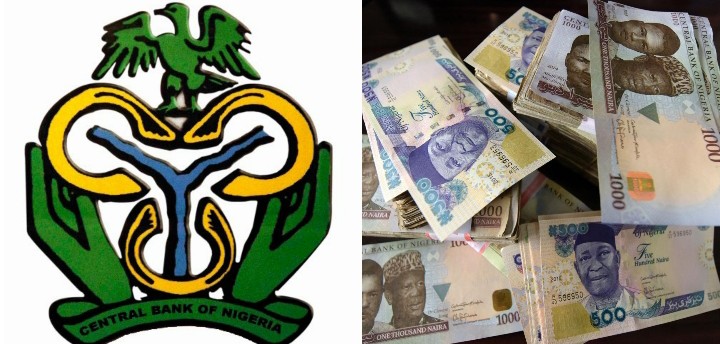 Economic Imlpications of the Introduction of the New Naira Notes in Nigeria
  