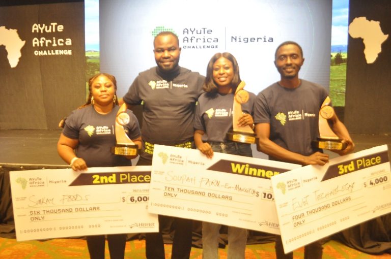 Heifer Announces Three New Tech Innovators as Winners of Ayute Africa Challenge in Nigeria
  