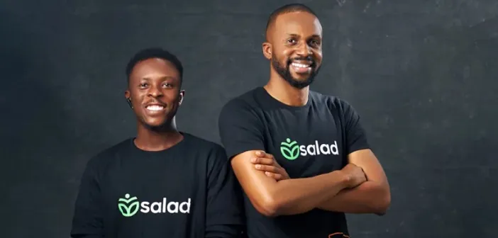 How Nigeria’s Salad assists employers in enhancing the financial wellbeing of their workforce.
  