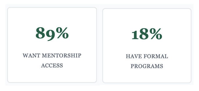 Building Effective Tech Mentorship Programs: Bridging the Skills Gap in Nigeria Markets 2 key insights