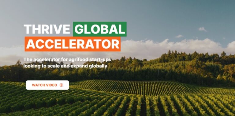 Application is now Open for African Agri-food Startups to the THRIVE Global Accelerator Program
  