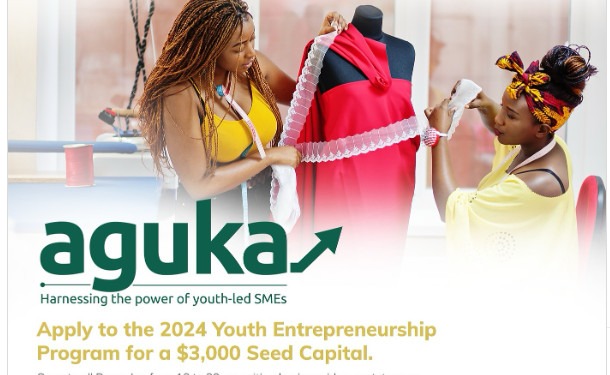 Tony Elumelu Foundation/UNDP Aguka Ideation Entrepreneurship Program: Call for Applications (Up to $3,000 Fund)