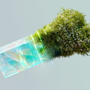 These 7 Ideas Could Be The Future of Sustainability