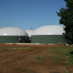 Exploring Biogas: Sustainable Energy and Business Opportunities