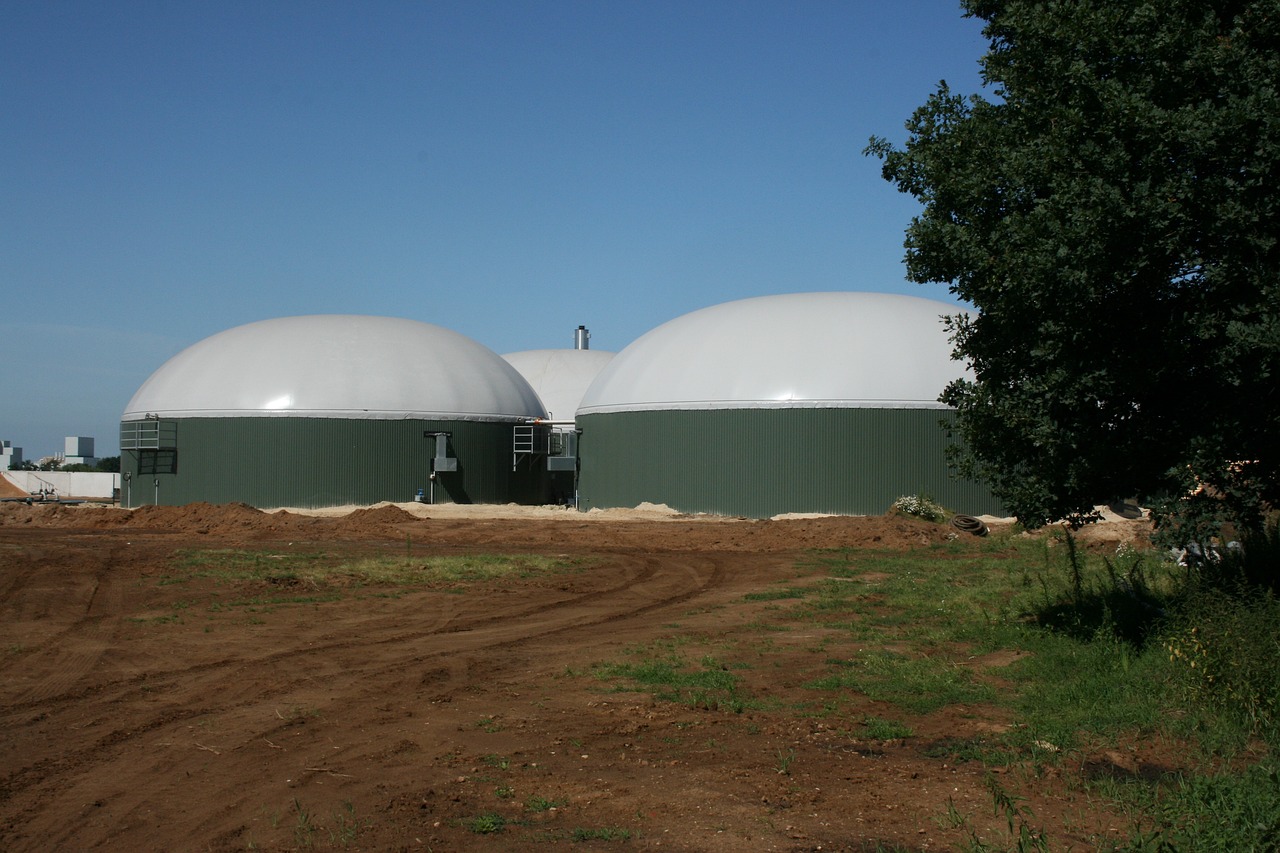 Exploring Biogas: Sustainable Energy and Business Opportunities
