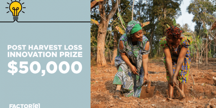 $50,000 Post-Harvest Loss Innovation Prize Call for Applications (For, Kenya, Nigeria and India Smallholder Farmers)
  