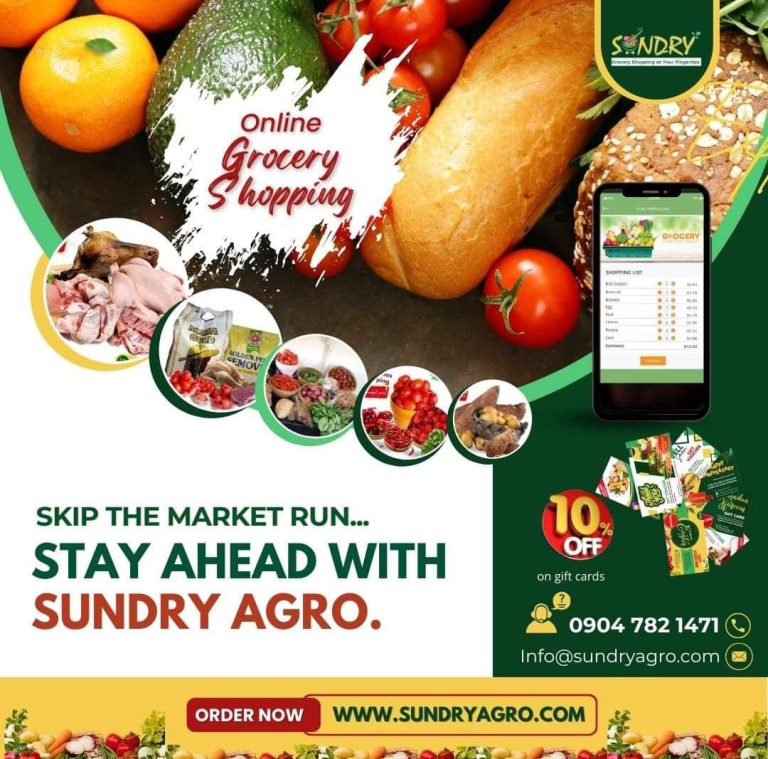 SundryAgro: The Future of Personalized Grocery Shopping in Nigeria
  