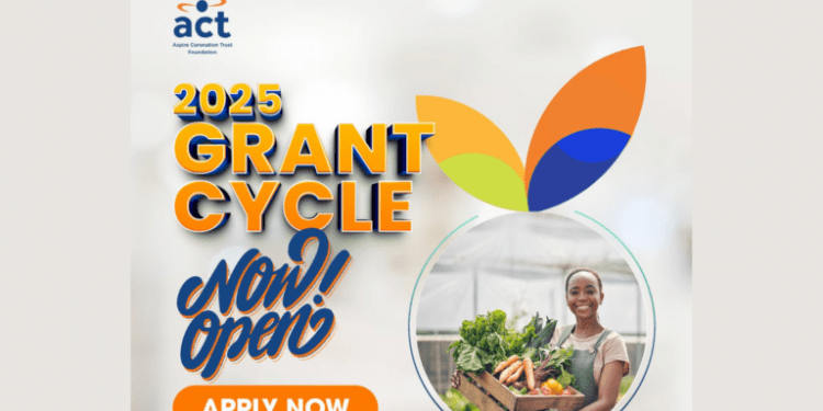 Invitation for Applications: 2025 Grant Cycle of the ACT Foundation for African Organizations