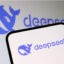 DeepSeek