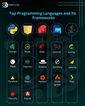 top programmin language