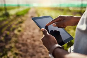 AI in agriculture