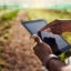 AI in agriculture