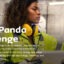 mTN Africa Pachi Panda Challenge