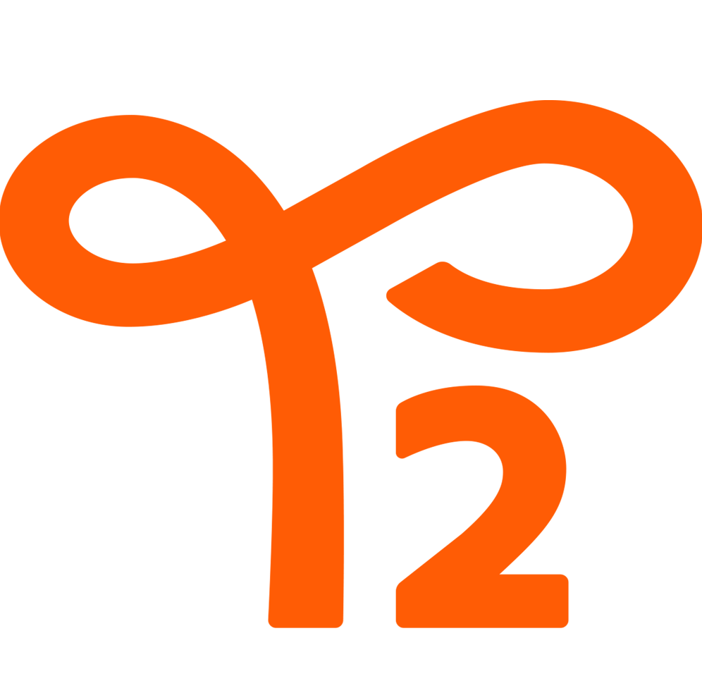 T2