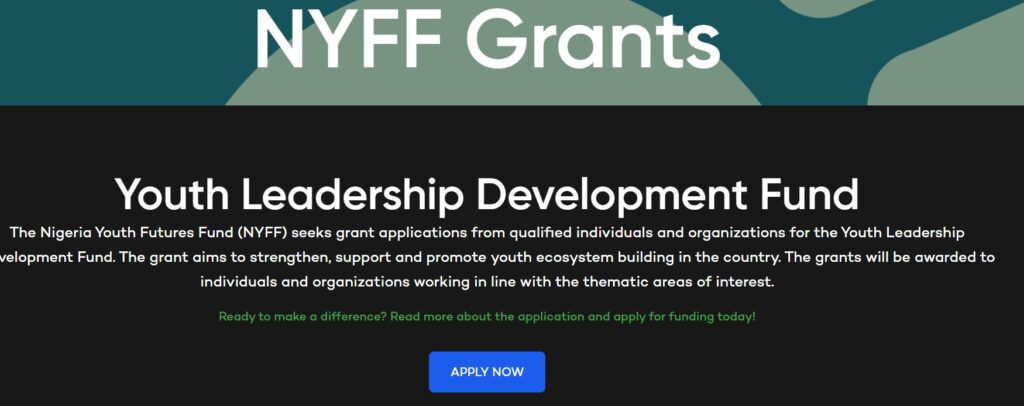 Nigeria Youth Future Fund