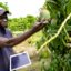 Agritech Startups