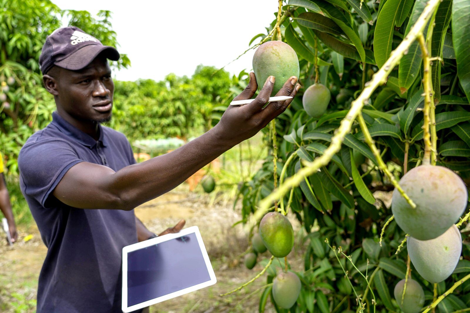 Agritech Startups