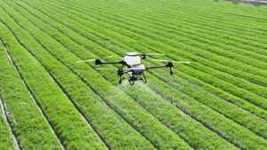 agriculture AI