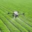 agriculture AI