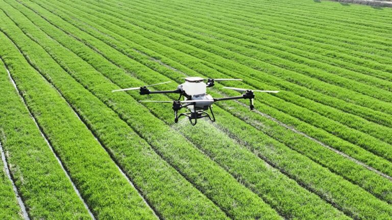 agriculture AI