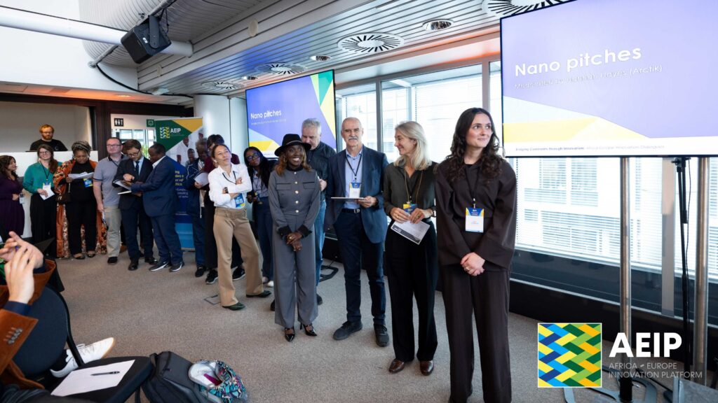 AEIP Scholars Programme